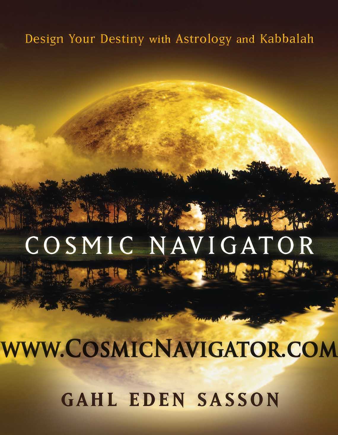 Cosmic Navigator Cover Web