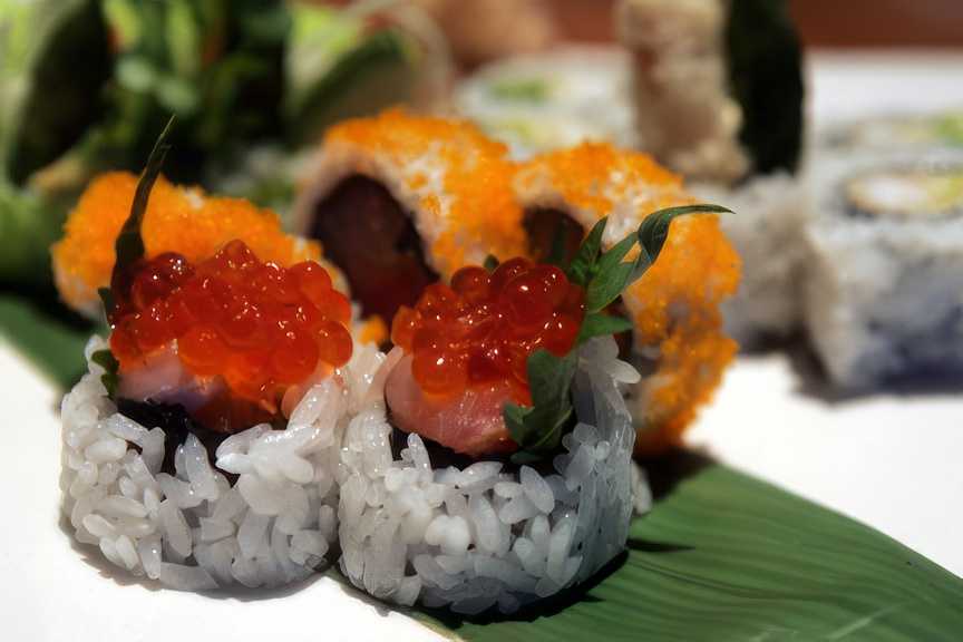 sushi roku 20 102704